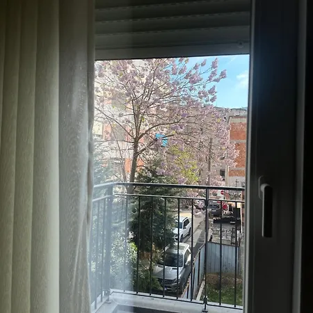 Labi Tirana